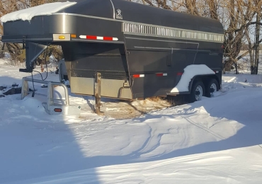 1996 Real Horse Trailer