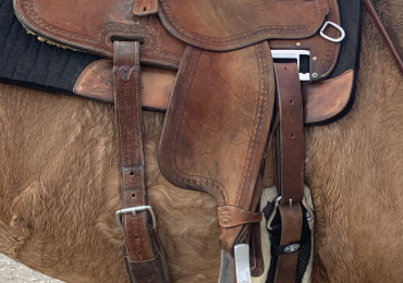 13.5” Martin Crown C Barrel saddle