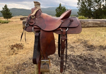 Sanchez saddle shop slickfork
