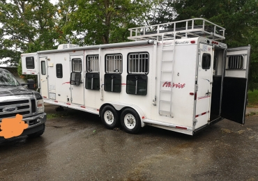 Silverlite Patriot 4 horse Lq trailer